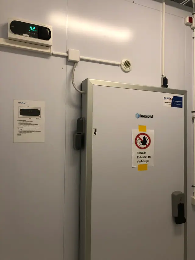 Direkten Helsingborg – bild 9 av 14